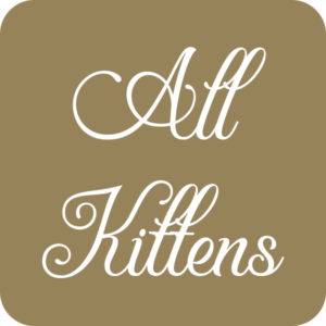 1. All Kittens