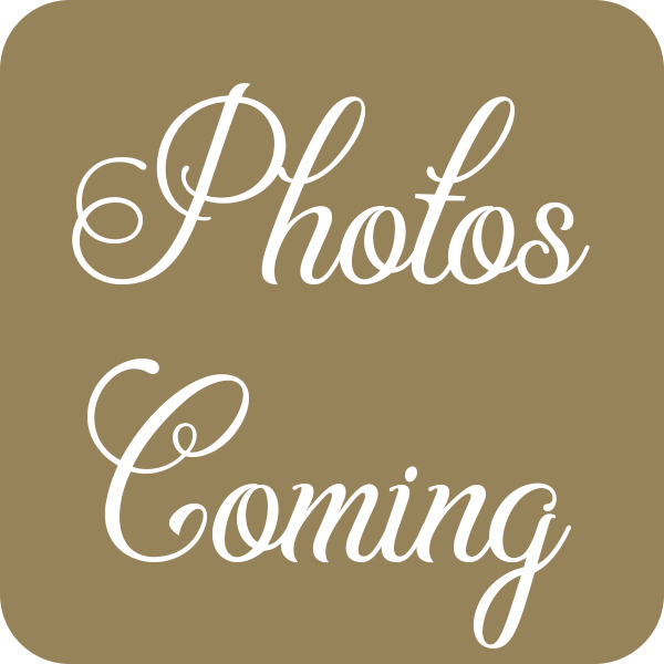 Future Maine Coon Kitten for sale in Missouri