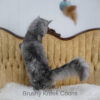 Black Smoke Polydactyl Maine Coon for sale with breeding rights
