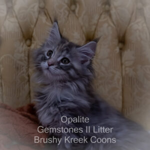 Opalite - Starting at $1,900