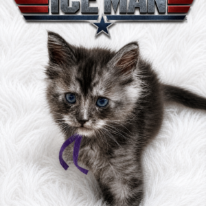 Iceman - from $4250