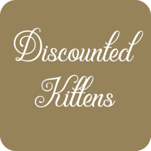 Discounted Kittens